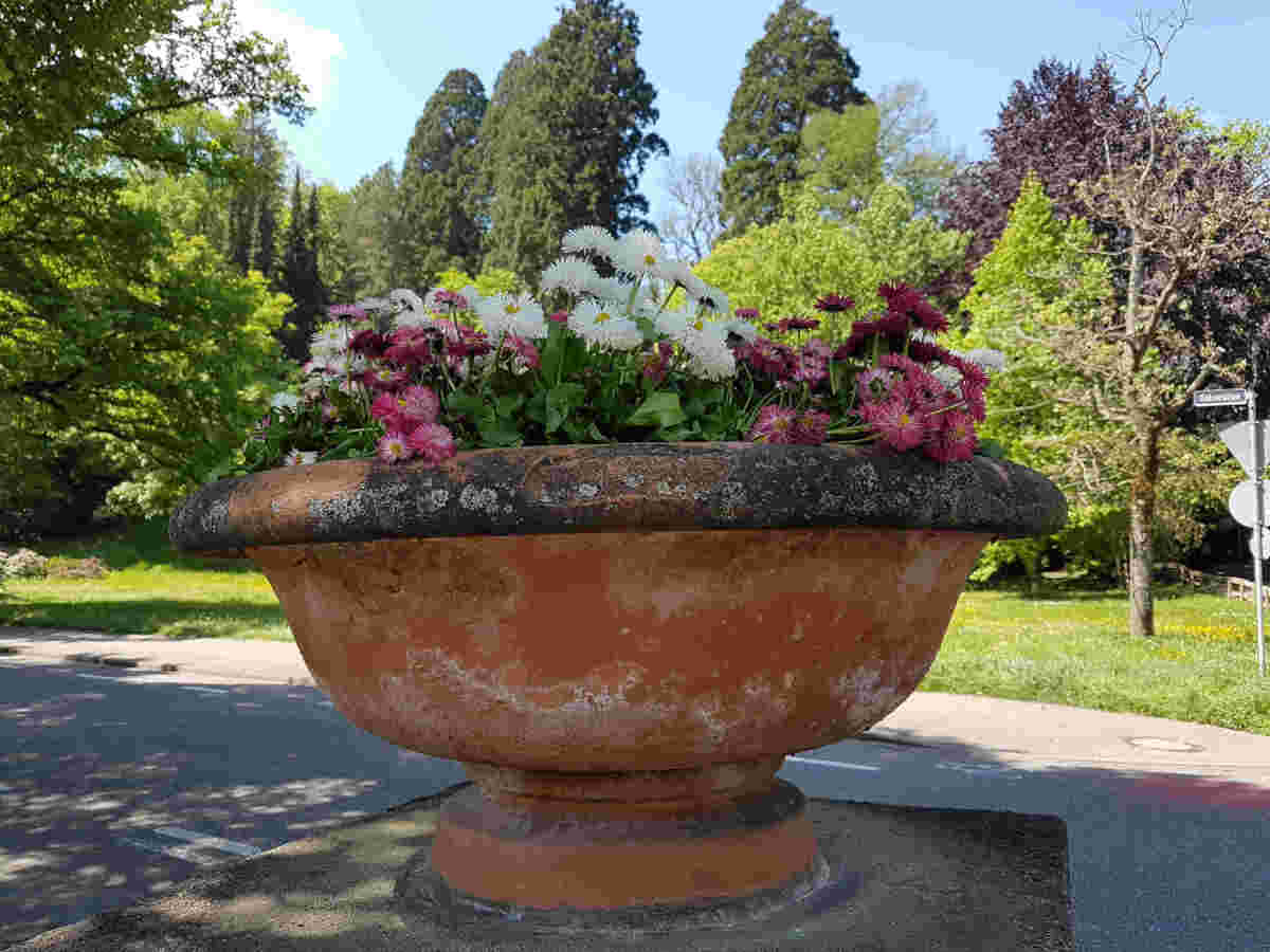 Baden-Baden, Blumenschale Kaiseralleee