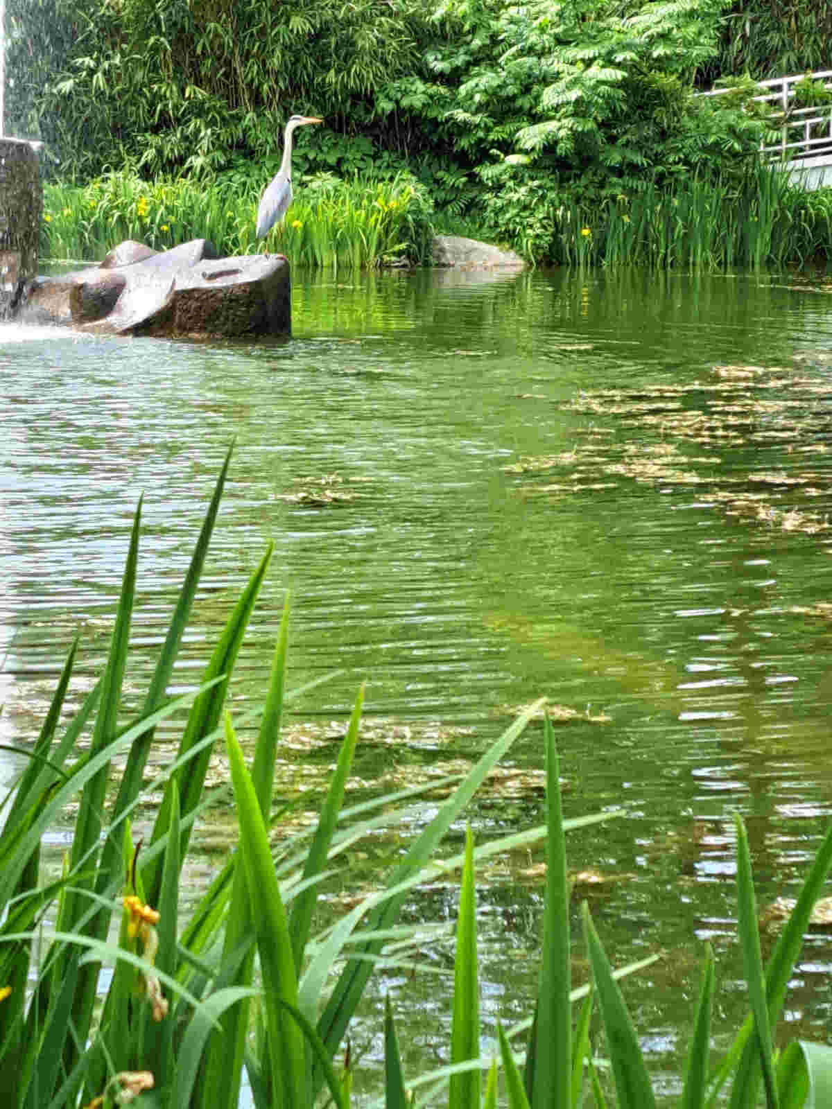 Baden-Baden, Hector Berlioz Anlage