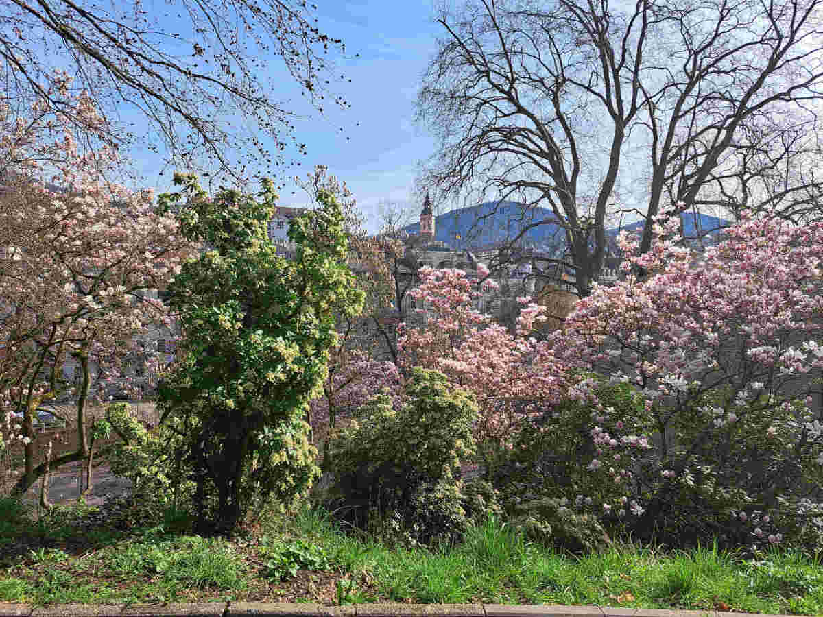 Baden-Baden, über der Trinkhalle
