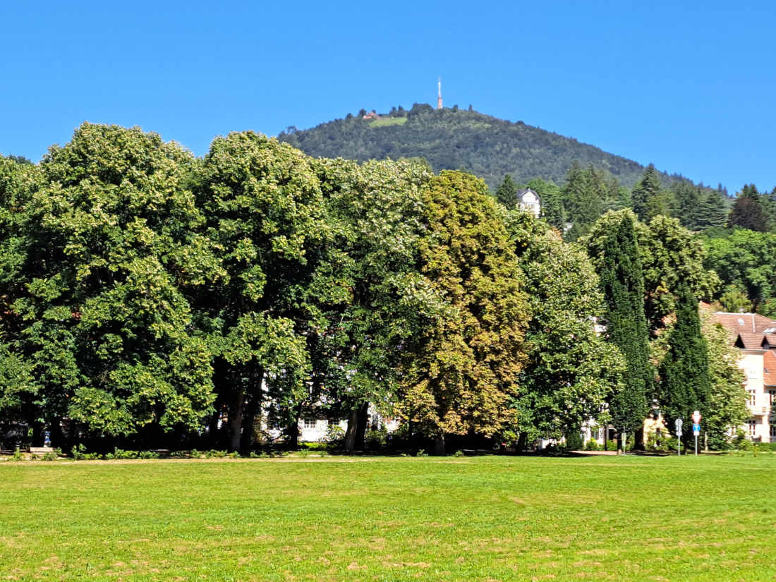 Baden-Baden, Klosterwiese mit Blick auf den Merkur