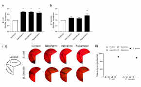 Künstliche Süßstoffe erhöhen unterschiedlich die Biofilmbildung, aber nicht die hämolytische Aktivität, in den beiden Modell-Darmbakterien.