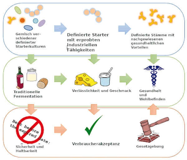 Abbildung 1. Schematische Darstellung der Beziehungen zwischen fermentierenden Mikroben, fermentierten Milchprodukten und dem Verbraucher.